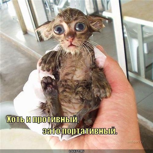 №6, Андрей Кучер, 30 лет, Киев №6, Андрей Кучер, 30 лет, Киев