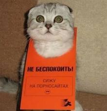 Антон Цыганков | Москва