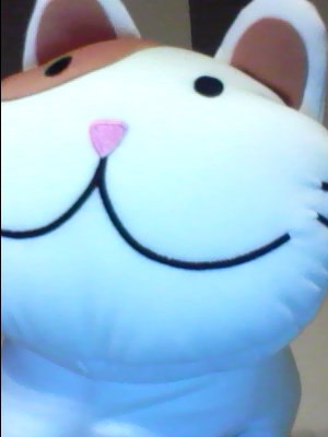 Аня Сулименко | Калининград