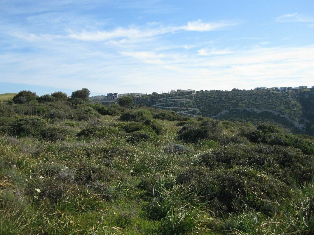 Аня Пименова | Москва