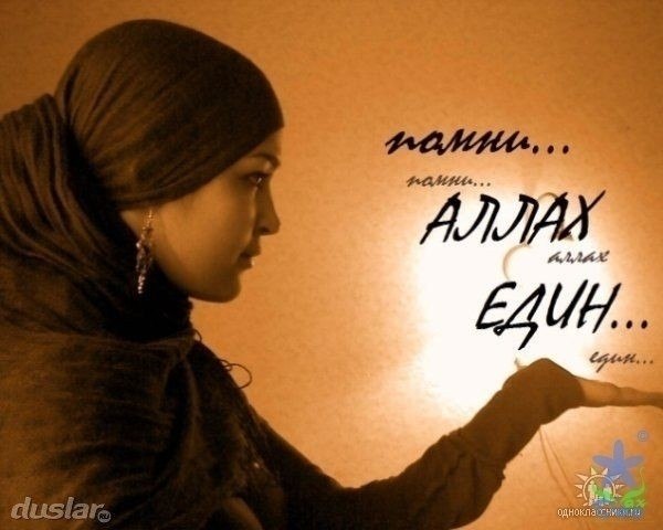 Nusha Super ¯`'•.¸*♥♥☾☆♥♥*¸.•'´¯ | Вологда