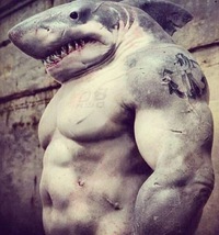 Сергей Марченко