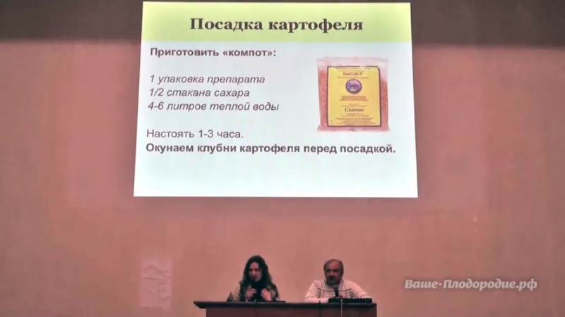 Выращивание картофеля. Как получить ведро с куста