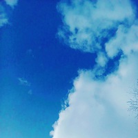 Полина Петрова