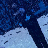 Александр Воронин