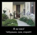 №13 Ольга Насонова 03.06: профиль, фото, статус - ВКонтакте №13 Ольга Насонова 03.06: профиль, фото, статус - ВКонтакте