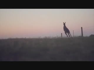 Где находится край Земли