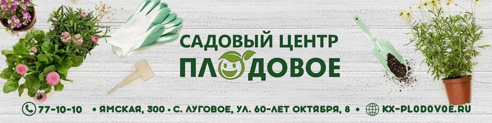 Интернет Магазины Тюмени Садовые