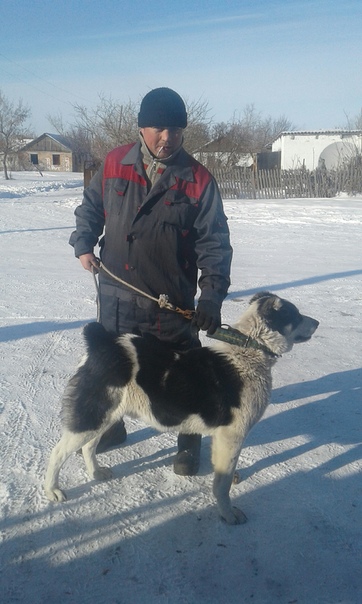 Олег Ажгихин, Казахстан, Костанай