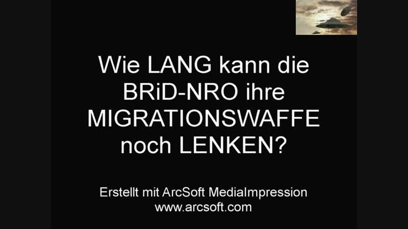 WORTMARKE POLIZEI mb H machtlos gegen MIGRATIONSWAFFE und Messerattacken am X BRi D Hbf HIER die gefilmten