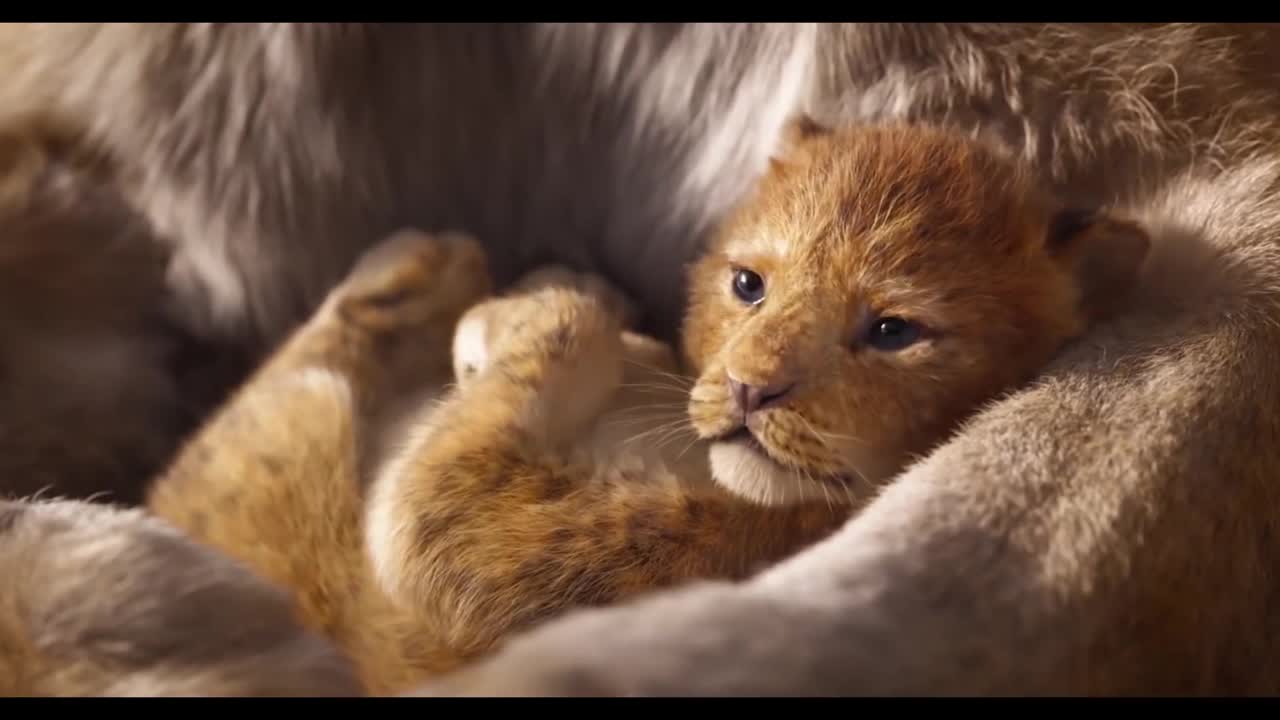 Арыстан патша порно видео