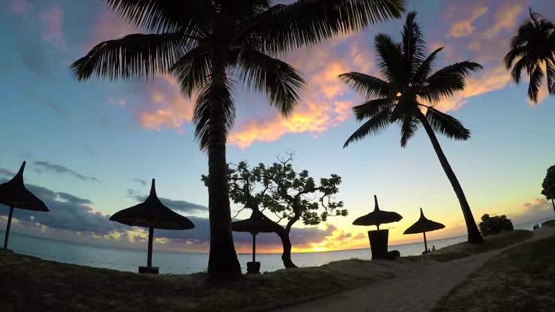 LAGOON, DOLPHIN AND SUGAR CANE Mauritius Go