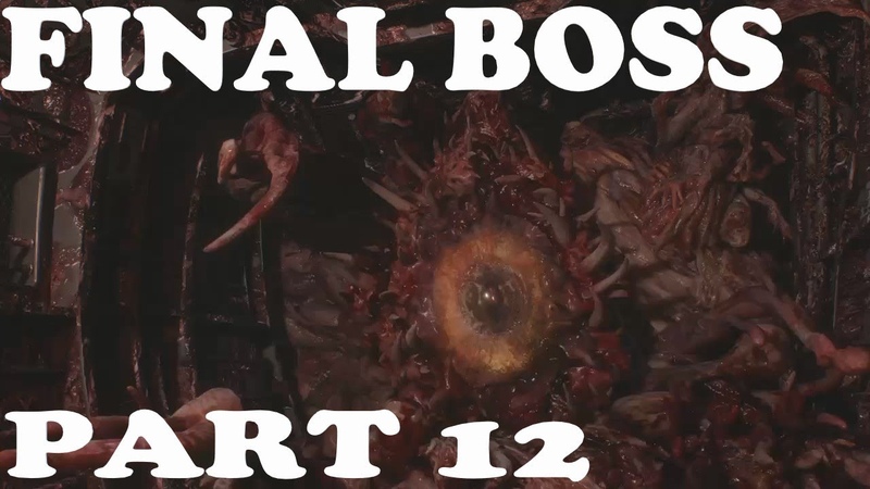 RESIDENT EVIL 2 REMAKE Walkthrough Gameplay Part 12 Final Boss ( RE2