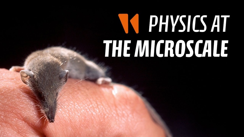 Microfluidics Adventures, 1: Physics at the