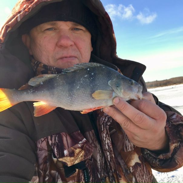 Рыбалка — Котовское водохранилище, Тамбовская область, 52.597, 41.593