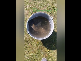 Переселение рыбы