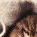 №148, Лариса Дулова, 44 года, Санкт-Петербург №148, Лариса Дулова, 44 года, Санкт-Петербург