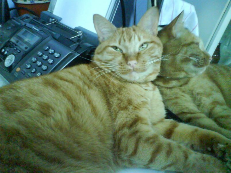 №7, Артём Гаврилин №7, Артём Гаврилин