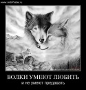 №7 Нурик Хамзин