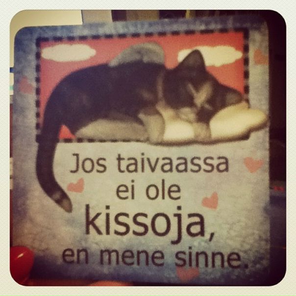 №102, Лера Страхова, Санкт-Петербург №102, Лера Страхова, Санкт-Петербург