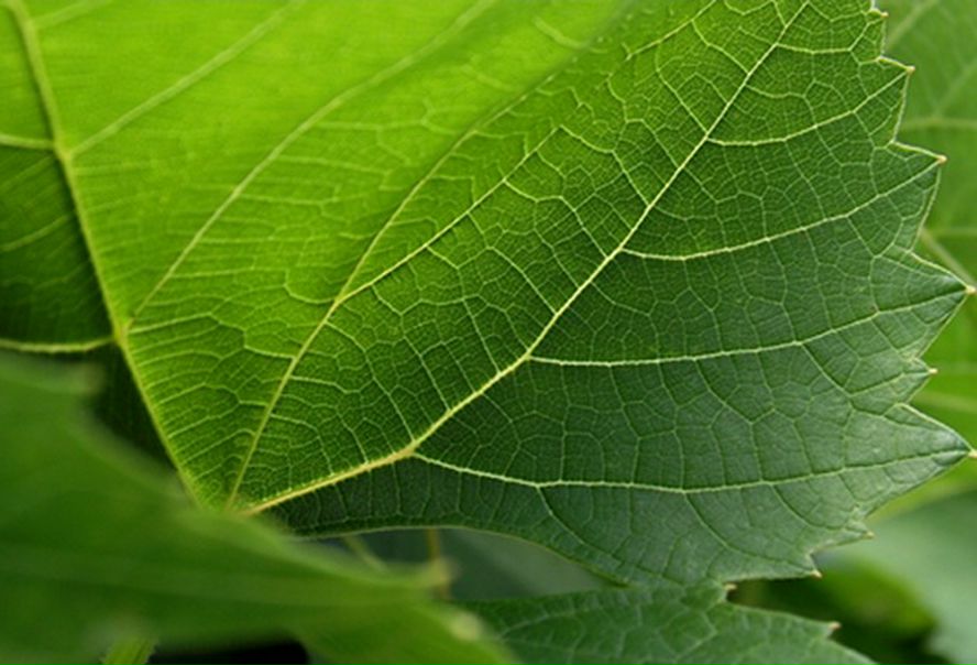 №7, Никита Хомыженко, 28 лет №7, Никита Хомыженко, 28 лет