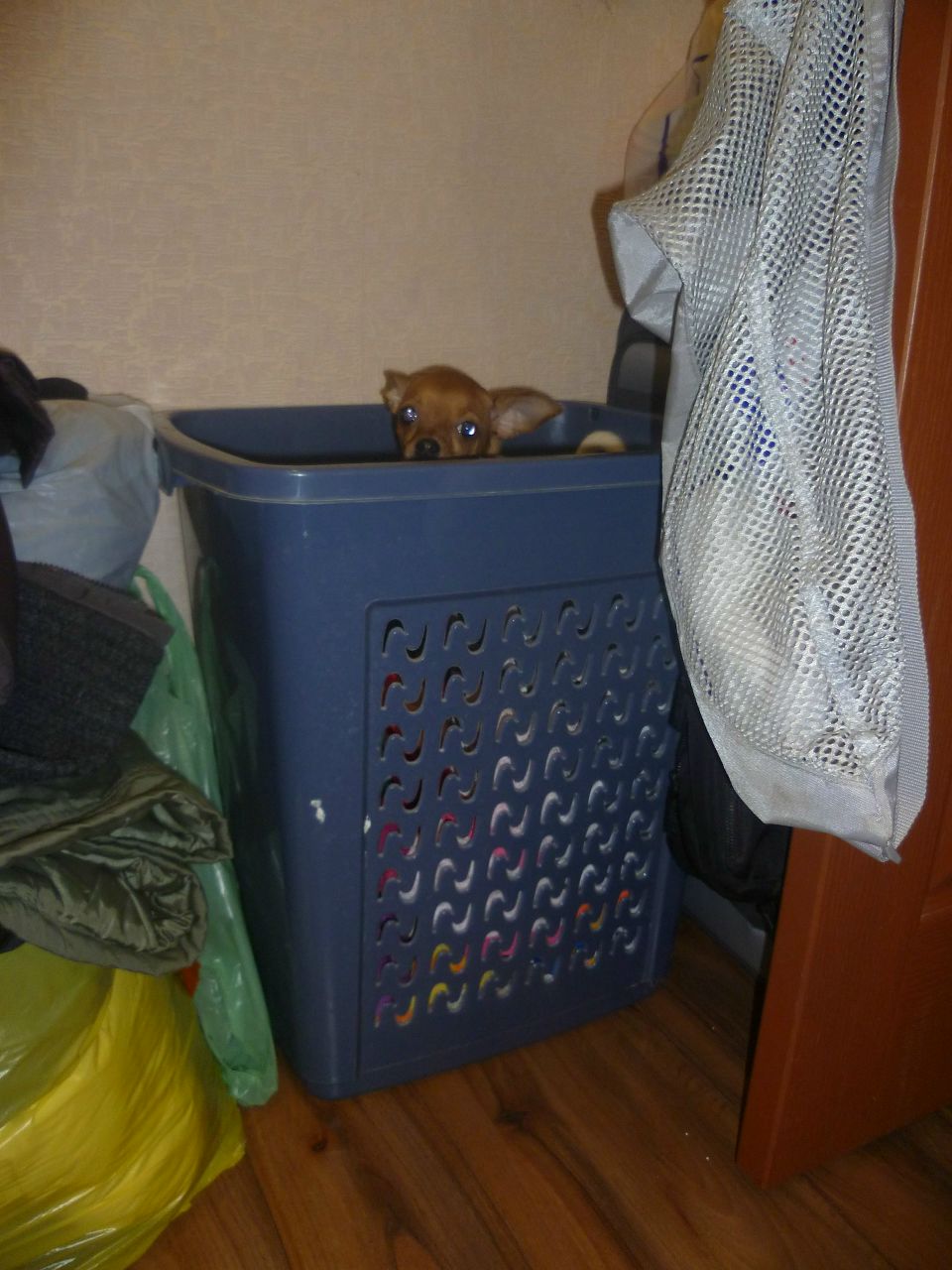 Сергей Пуш | Минск