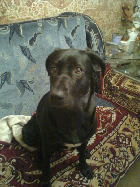 №53, Настя Савастеева, 29 лет, Харьков №53, Настя Савастеева, 29 лет, Харьков