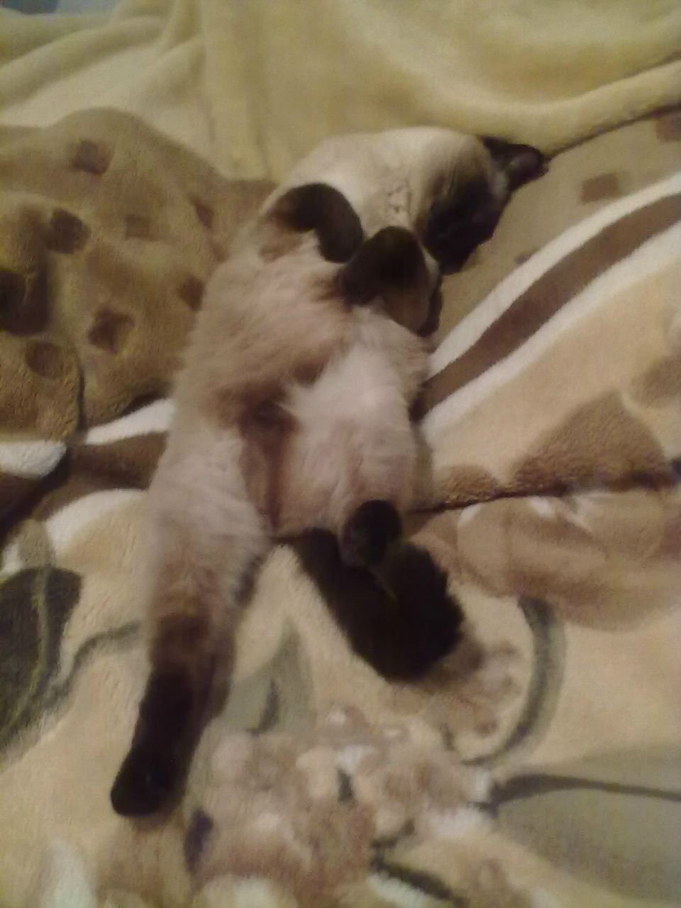 Алексей Фёдоров | Санкт-Петербург