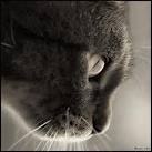 №2, Евгения Вернер №2, Евгения Вернер