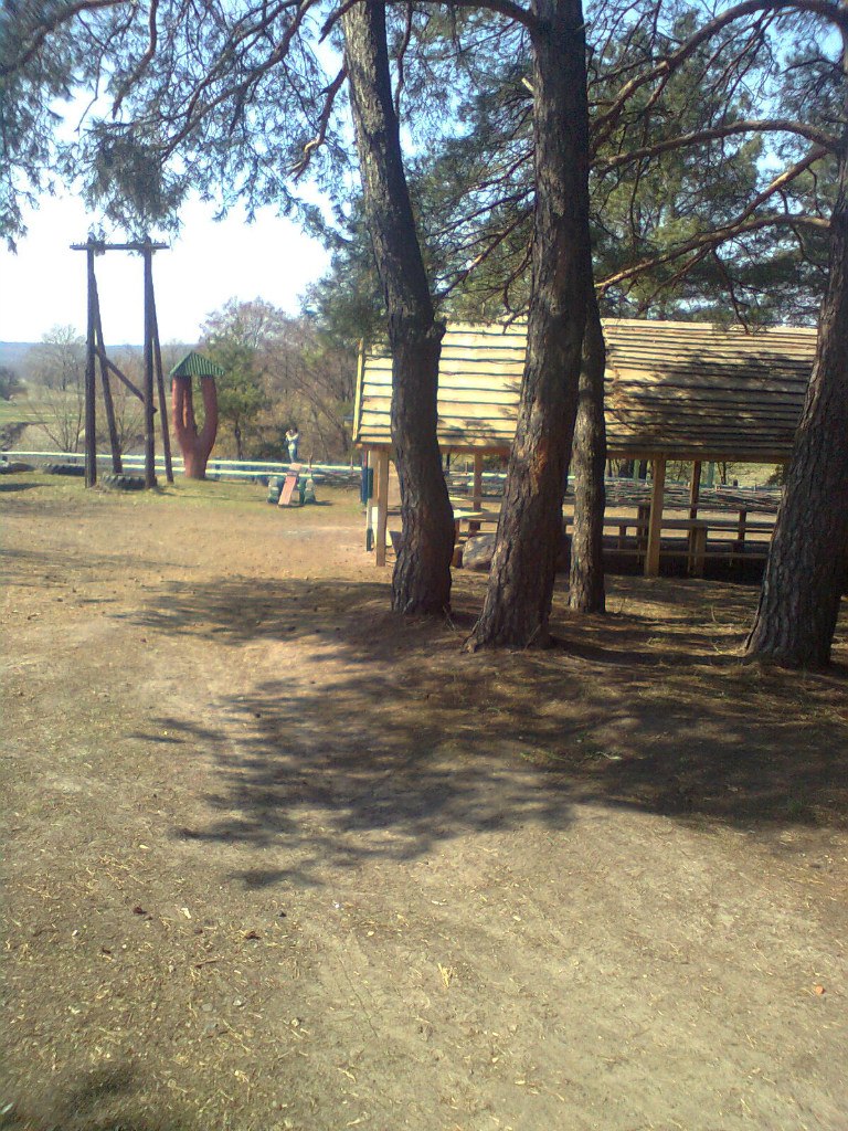 Наталья Корецкая | Полтава