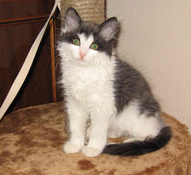 Ольга Знаменская | Архангельск