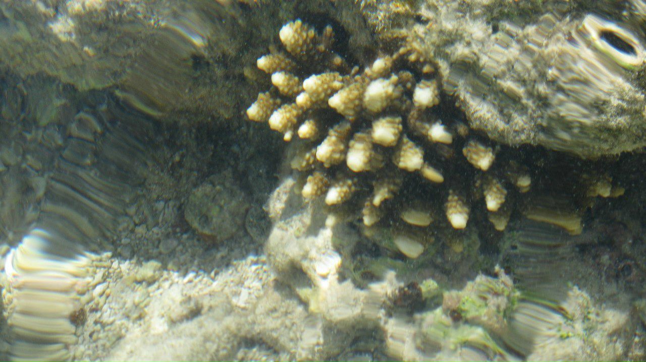 Алёна Рааг | Самара