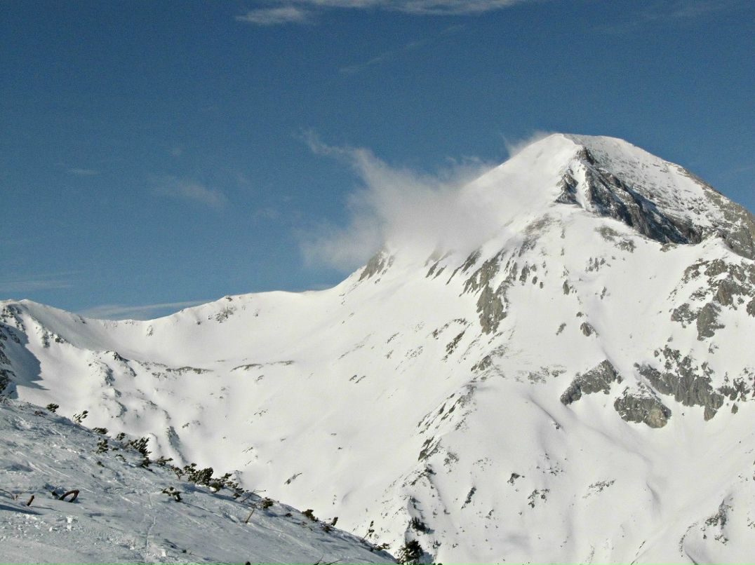 Mary Vtulkina *violet* | Люберцы