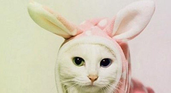 Анютка Шевченко | Красноярск