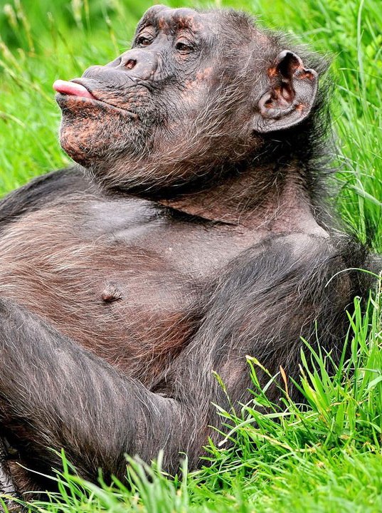 Павел Соболев | Челябинск