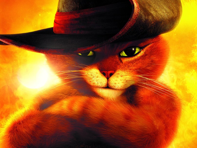 Леонід Ботнар ⎲⎷⎛⎝⎝⏠Botle◕ ◡ ◕BetaJoy⏠⎠⎠⎷⎛⎝⎳ | Николаев