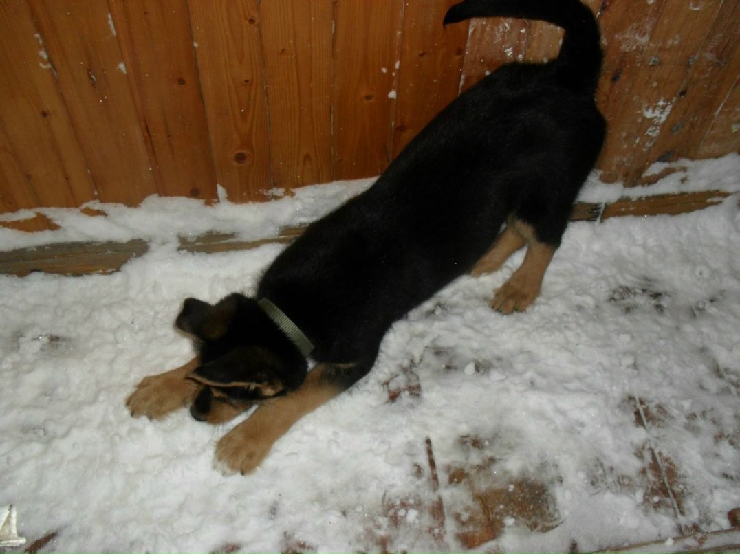 Виталия Кононова | Видное