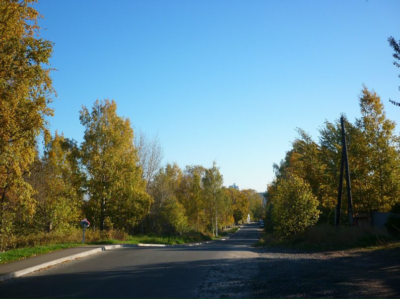 Юрий Шукан | Петрозаводск