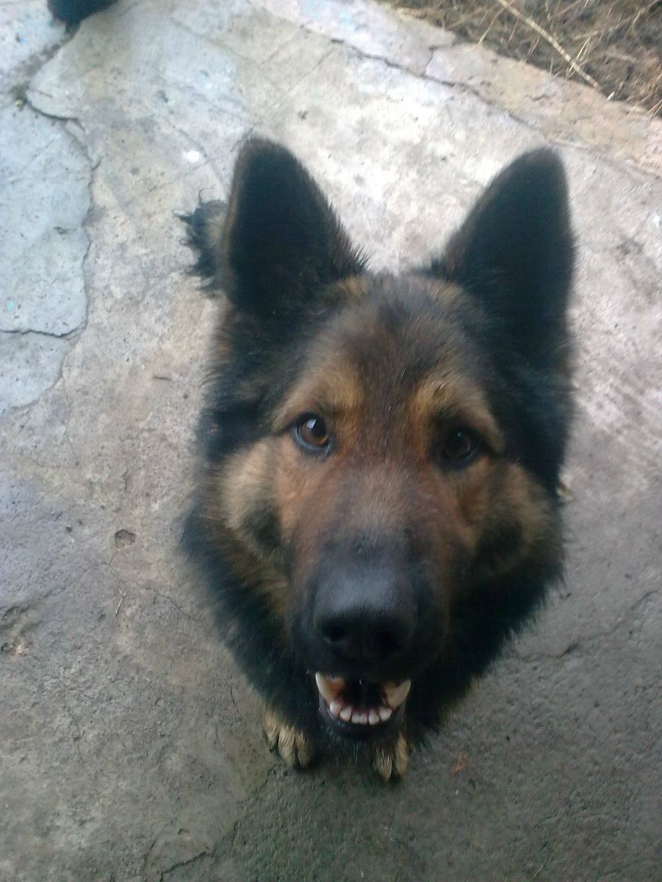 Виталий Седлецкий !!_2-D_!! | Киев