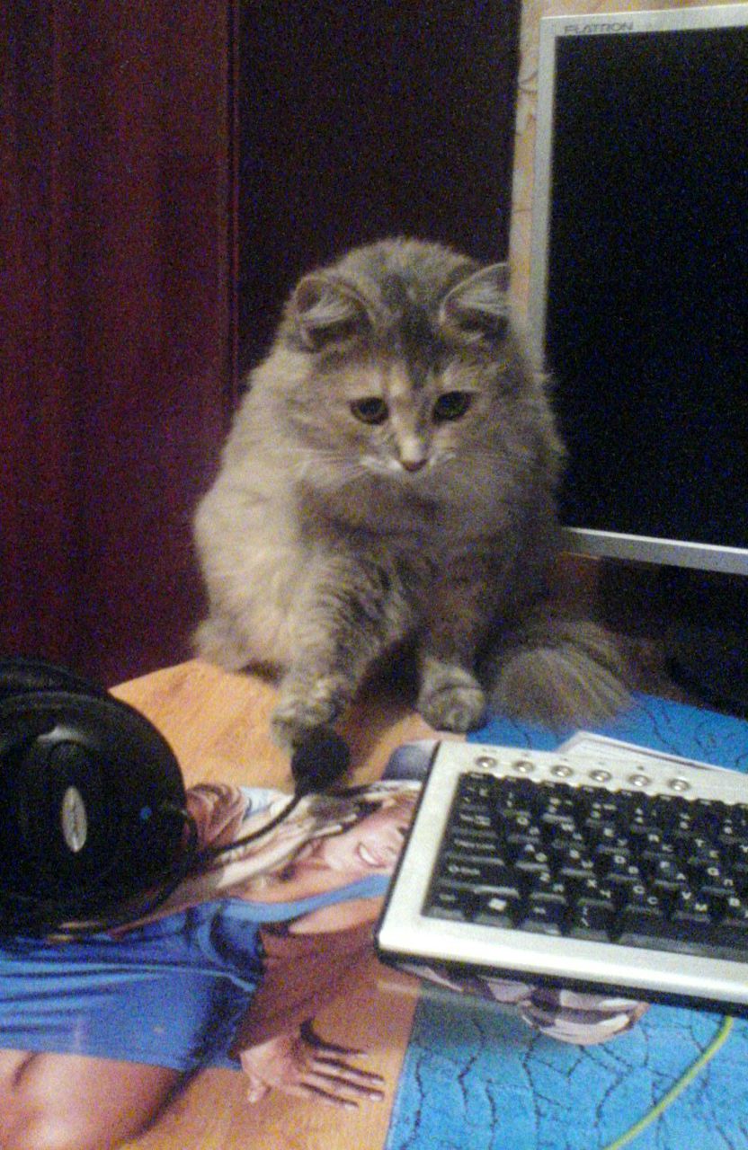 Александр Коротюк | 