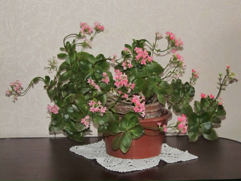 Владимир Коркош васильевич | Мариуполь