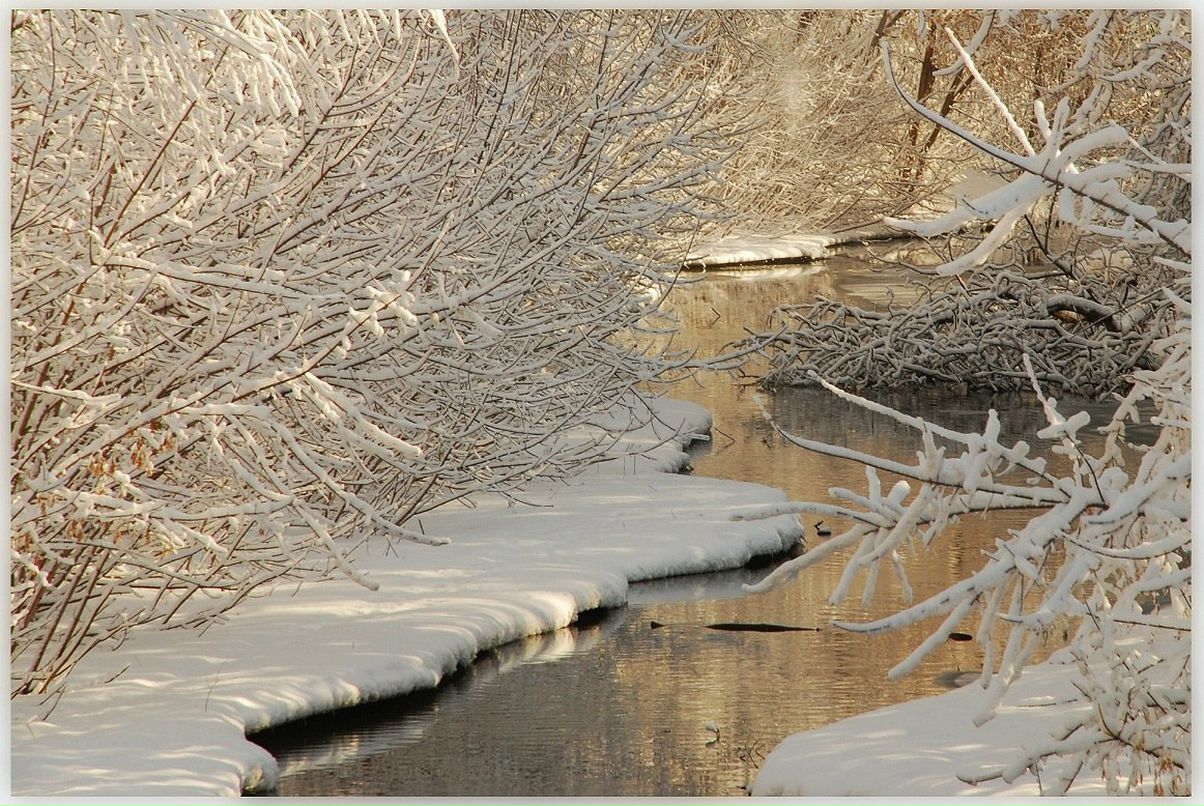 Елена Гражданинова | Нижний Новгород