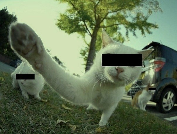 Илья Смехнов | Краснодар