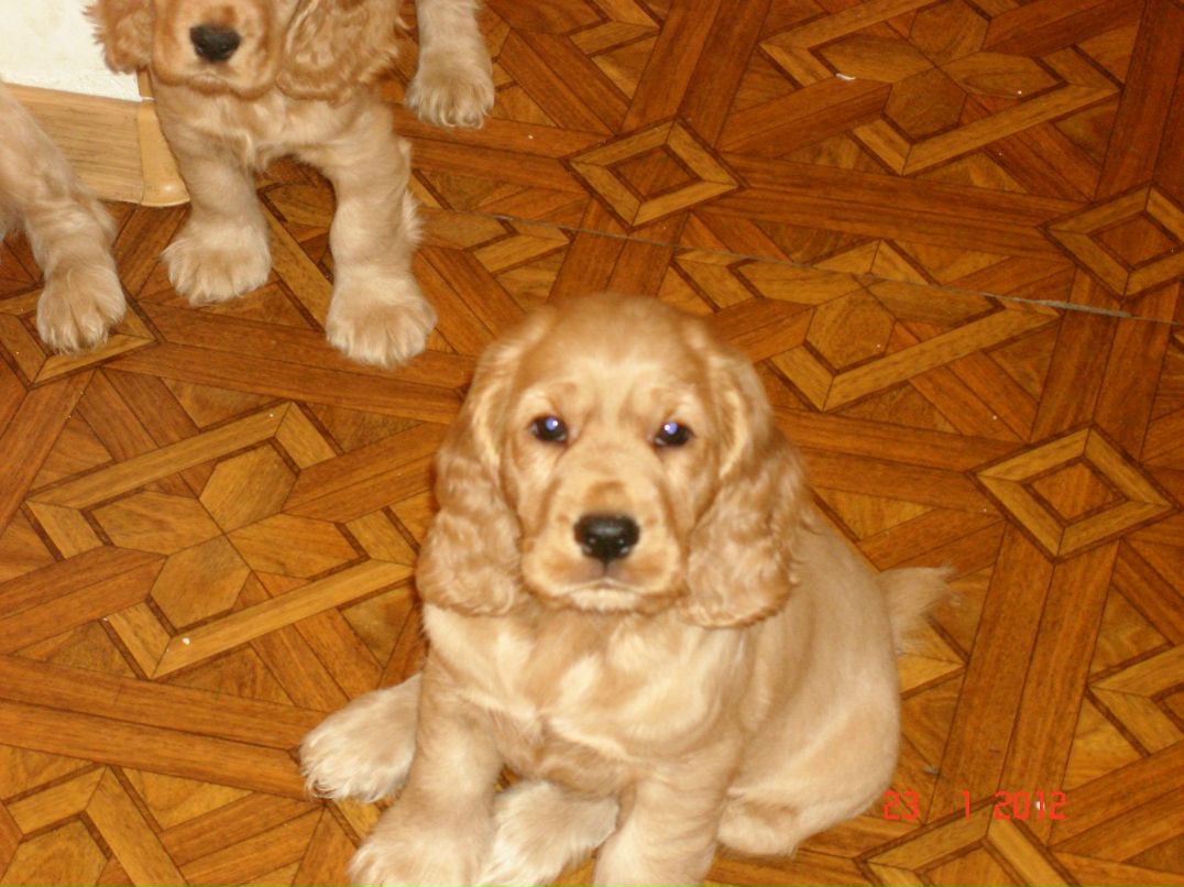 Татьяна Баранова | Киев