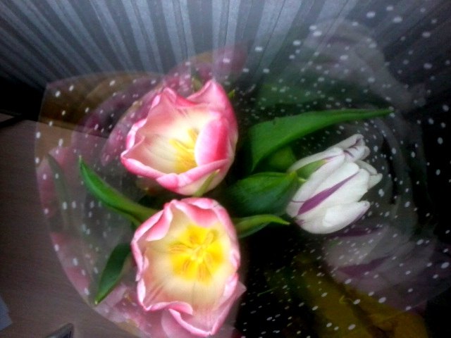 Екатерина Борисова | 