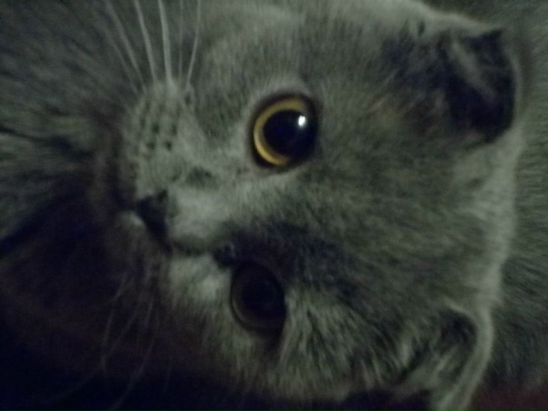 Евгения Латышева | Омск