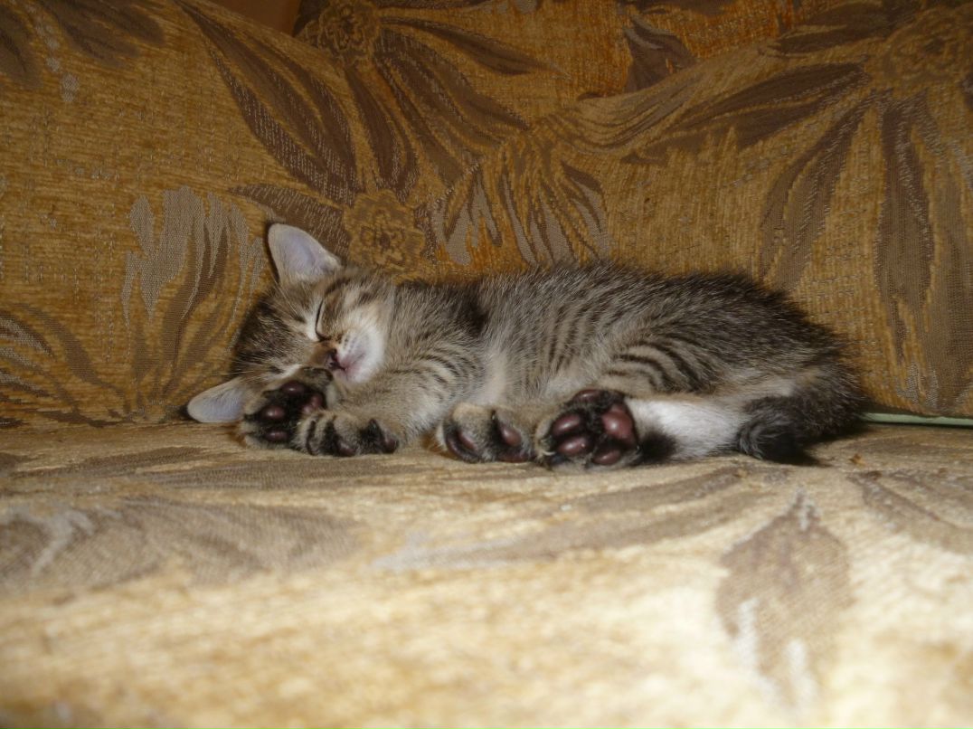 Татьяна Сагидуллина | Набережные Челны