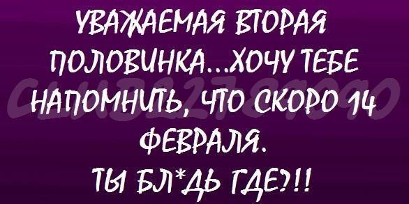 №16, Даша Рогова №16, Даша Рогова