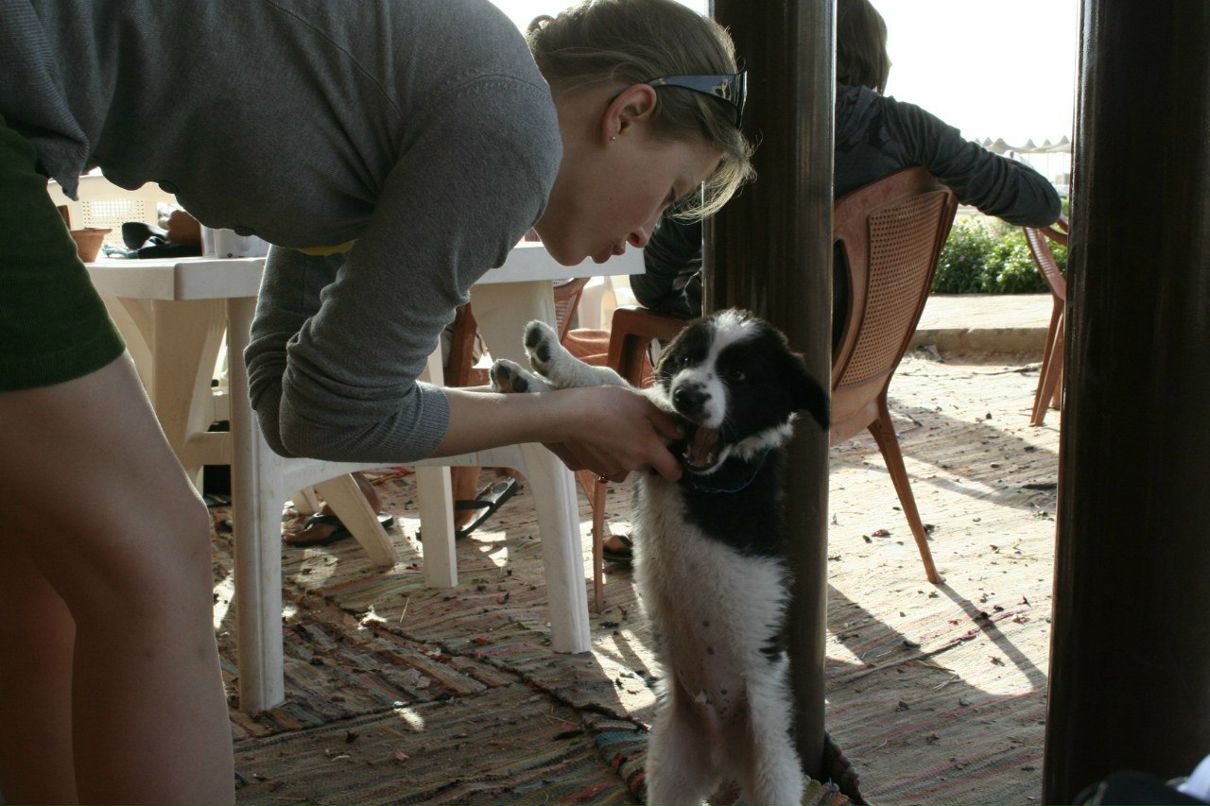 Настя Чертунина | Санкт-Петербург
