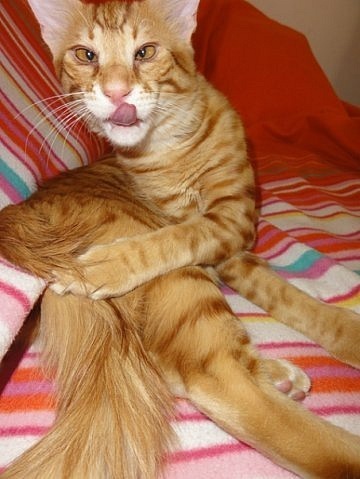 №16, Андрей Круглов, Минск №16, Андрей Круглов, Минск